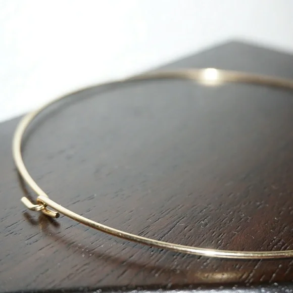 Kukui Nut Collar Necklace - Goldtone - Picture 5 of 7